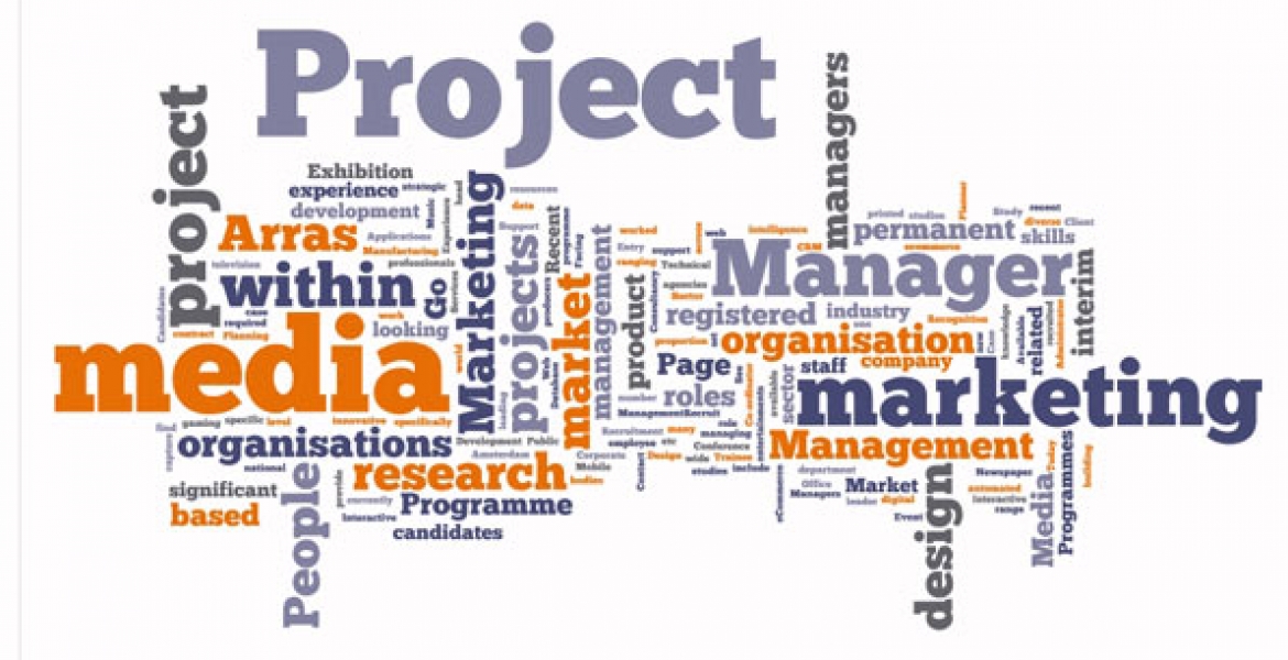 Web Project Management